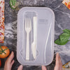 Image of Compartment lunch box 
